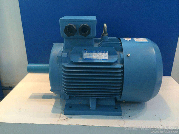 高效節(jié)能電機(jī)是西安泰富西瑪未來商業(yè)發(fā)展的方向。
