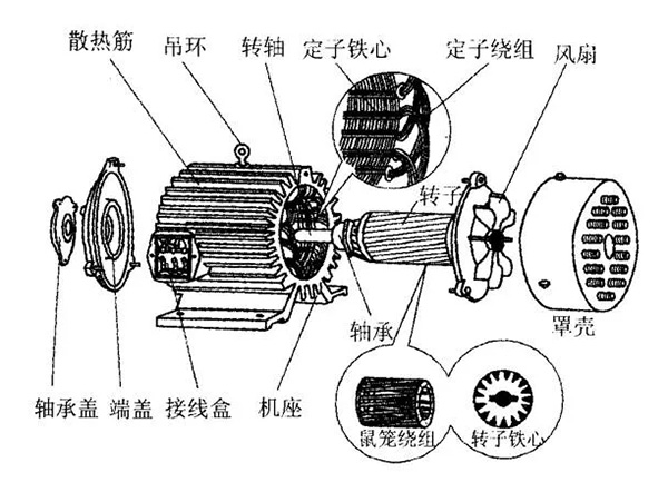 三相異步電動(dòng)機(jī)的六種分類方法及具體分類。